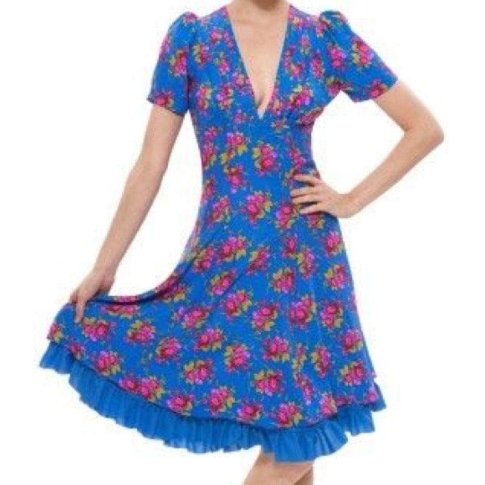 Painted roses betsy johnson dress